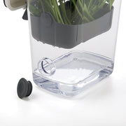 Fresh Herb Keeper - Extend Freshness for Parsley, Cilantro & Asparagus
