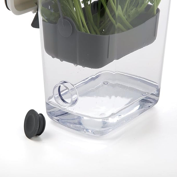 Fresh Herb Keeper - Extend Freshness for Parsley, Cilantro & Asparagus
