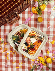 Reversible Lid Snack Trays - BPA-Free, Rectangle Meal Prep Containers