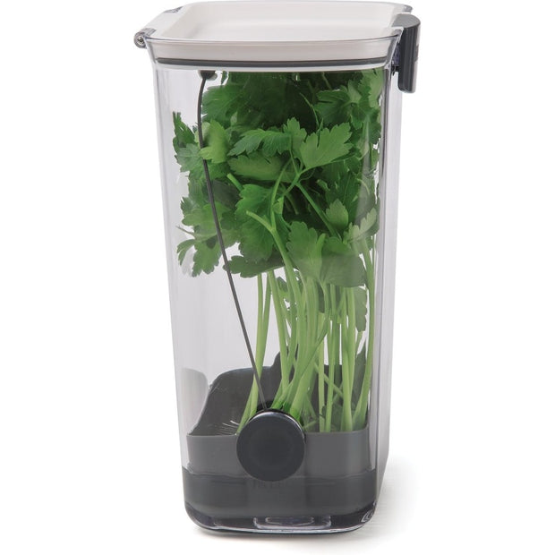 Fresh Herb Keeper - Extend Freshness for Parsley, Cilantro & Asparagus