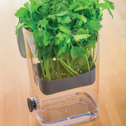 Fresh Herb Keeper - Extend Freshness for Parsley, Cilantro & Asparagus