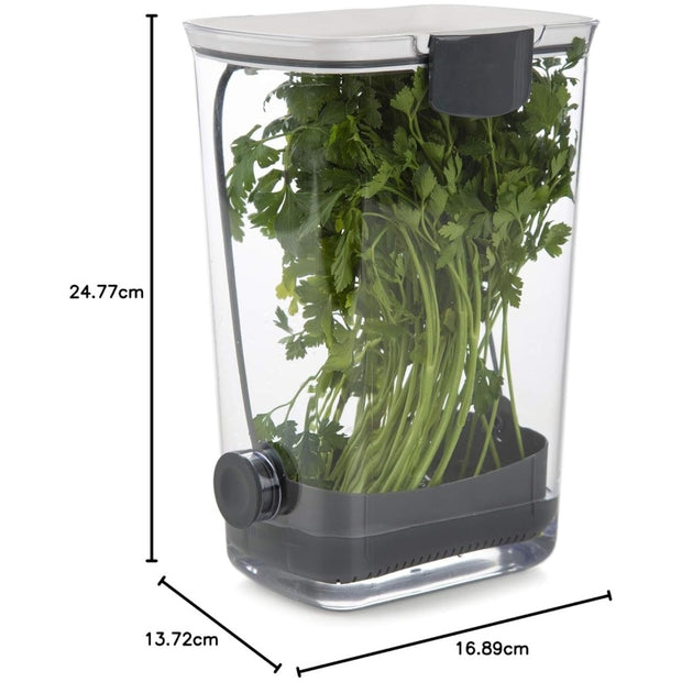Fresh Herb Keeper - Extend Freshness for Parsley, Cilantro & Asparagus